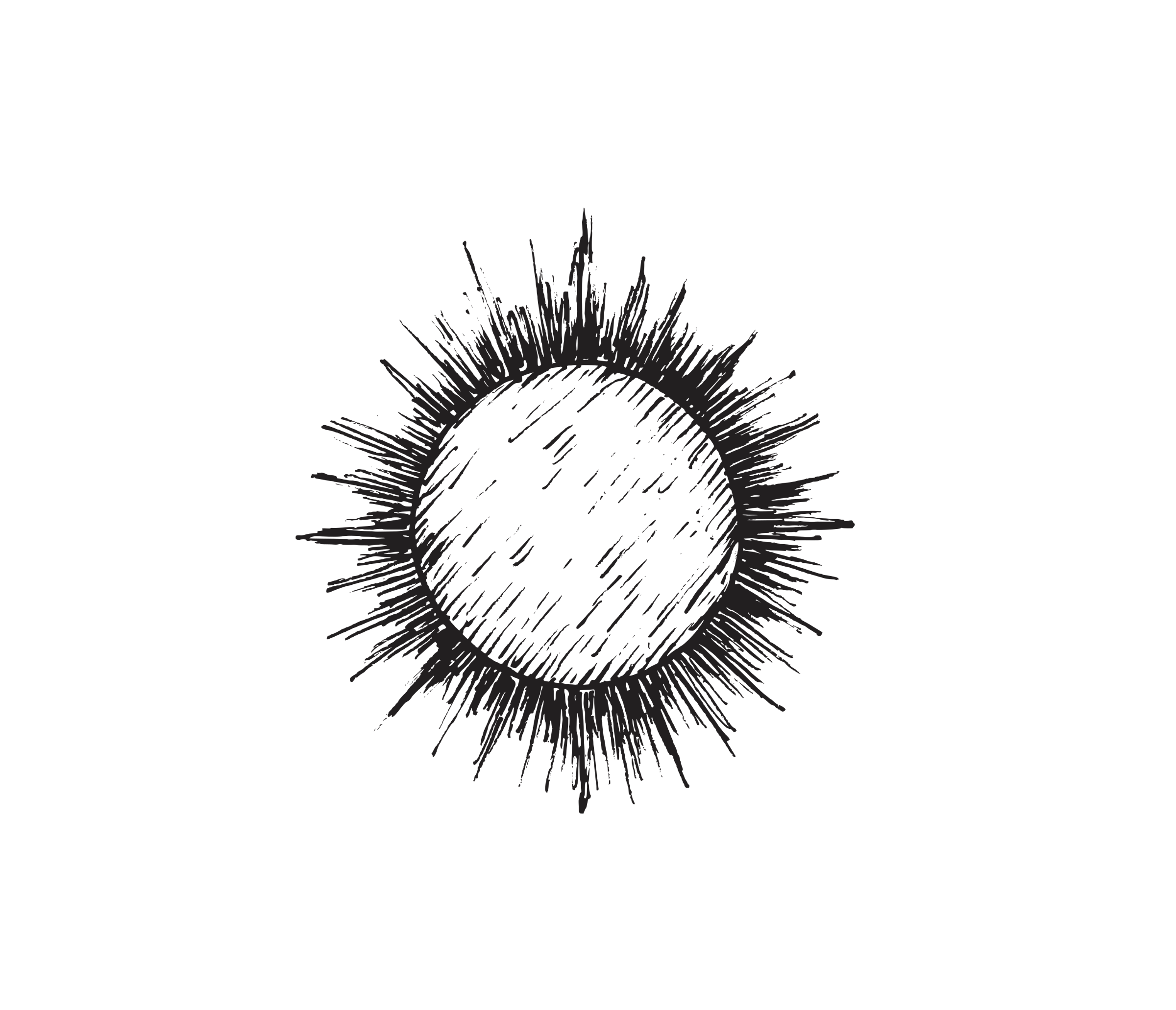 Illustration of the Sun